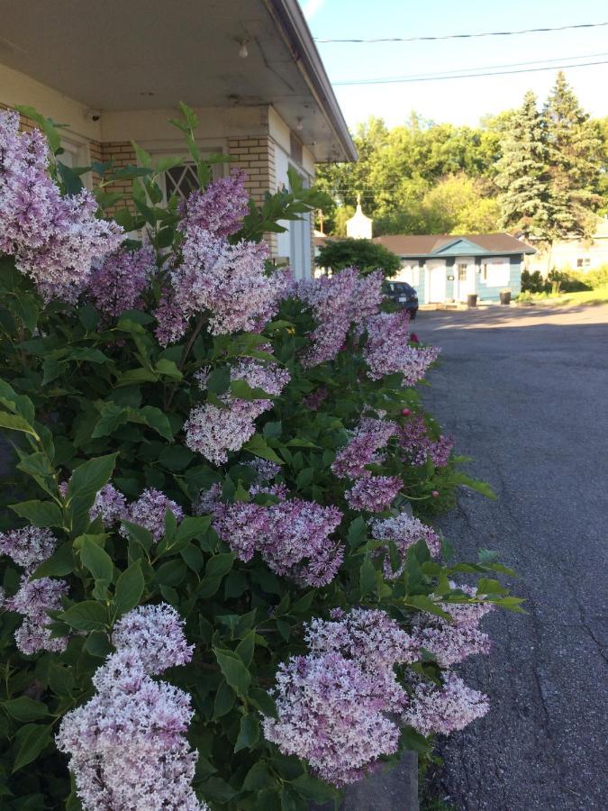 Motel Le Jardin Québec Esterno foto
